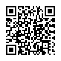 To view this 2006 Lincoln Town Car Bellefontaine OH from Ohio Limo | Limo Bus Rental Services & Vehicle Sales | Columbus | Springfield | Lima, please scan this QR code with your smartphone or tablet to view the mobile version of this page.