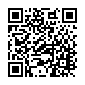 To view this 2004 Lincoln Town Car Bellefontaine OH from Ohio Limo | Limo Bus Rental Services & Vehicle Sales | Columbus | Springfield | Lima, please scan this QR code with your smartphone or tablet to view the mobile version of this page.