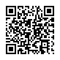 To view this 2008 Lincoln Town Car   from Ohio Limo | Limo Bus Rental Services & Vehicle Sales | Columbus | Springfield | Lima, please scan this QR code with your smartphone or tablet to view the mobile version of this page.