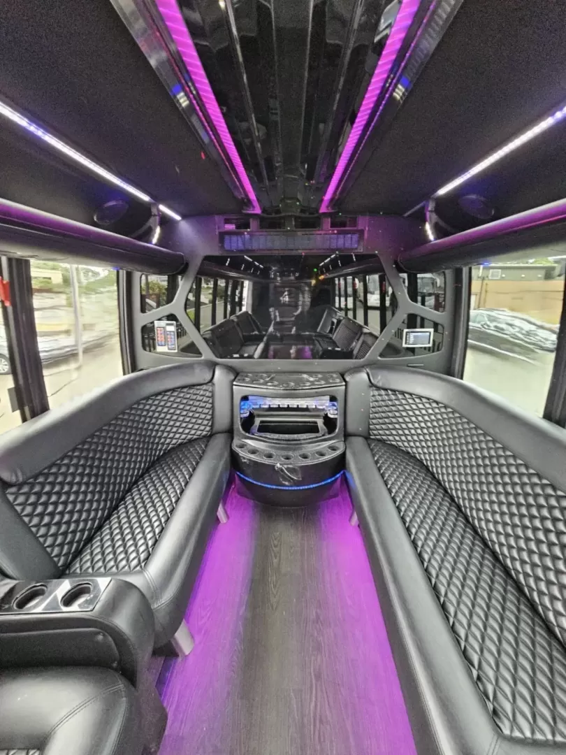 2016 White /Black Ford F550 with an Diesel engine, Auto transmission, 0.000000, 0.000000 - 2016 GRECH F550 GM33 LIMO DIESEL WHITE / BLACK NEW DIAMOND STITCHED SEATS NEW TURBO NEW DEF NEW WATER PUMP NEW EXHAUST NEW BATTERYLIMO STYLE SEATS AND BAR ULTRA RIDE AIR SYSTEM FRAMELESS COACH WINDOWS PREMIUM SOUND SYSTEM WOOD LOOK FLOORING LED INTERIOR LIGHTING ELECTRIC PLUG DOOR AND MUCH MORE! STI - Photo#12