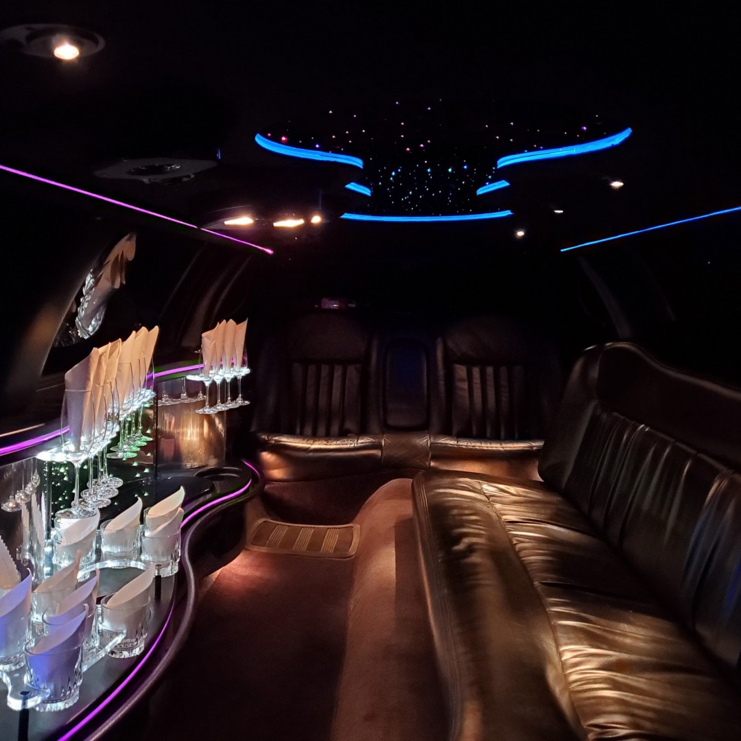 2004 Black /Black Lincoln Town Car with an V8 engine, Auto transmission, 0.000000, 0.000000 - 2004LINCOLN 120” SUPER STRETCH FEDERAL LIMOUSINE, BLACK/black leather J-Seat int., AM/FM/CD/DVD, power ports, mirrored ceiling, mood lighting, electric divider, bar, ice/champagne wells front & rear controls. - Photo#4